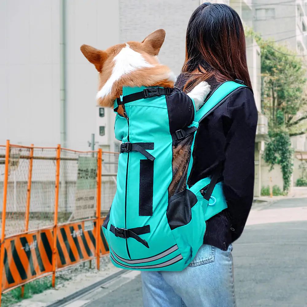 Dog Backpack Carrier - Expert Solutions