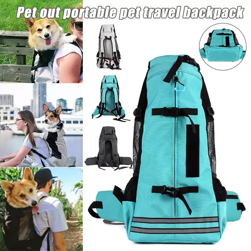 Dog Backpack Carrier - Expert Solutions