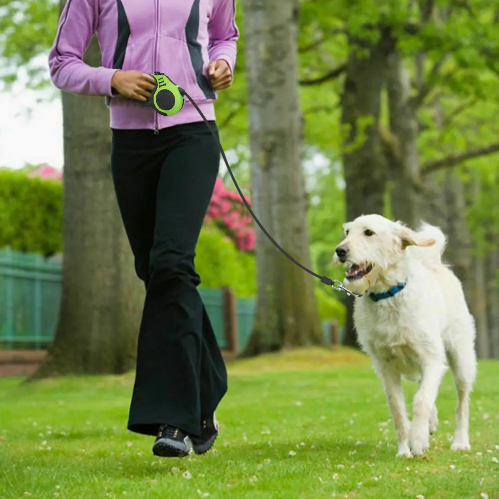 16.5FT Automatic Retractable Dog Leash - Expert Solutions